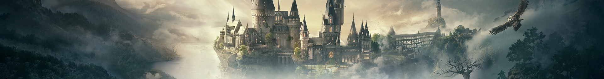 Hogwarts Legacy Banner